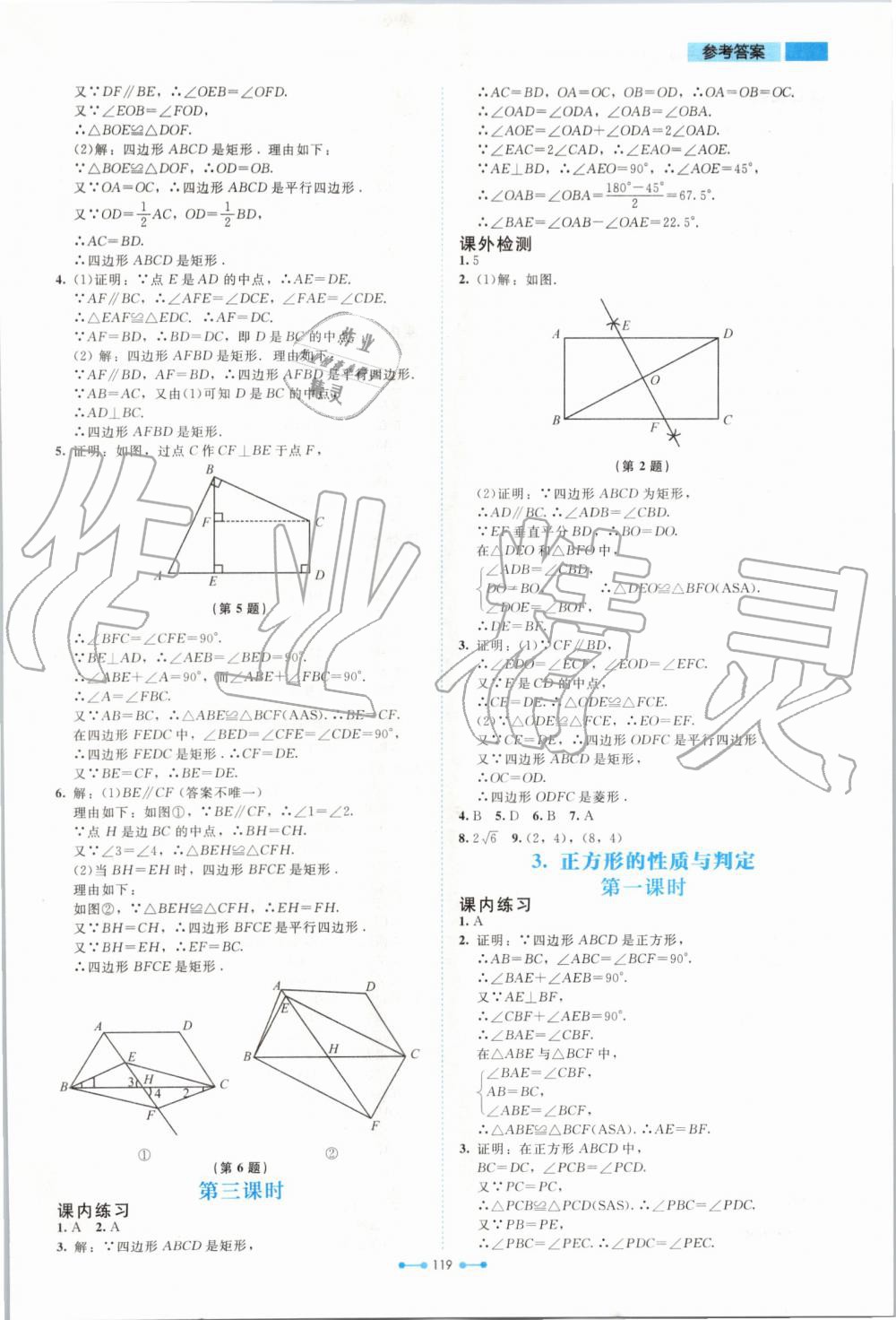 2019年伴你学九年级数学上册北师大版北京师范大学出版社 第3页