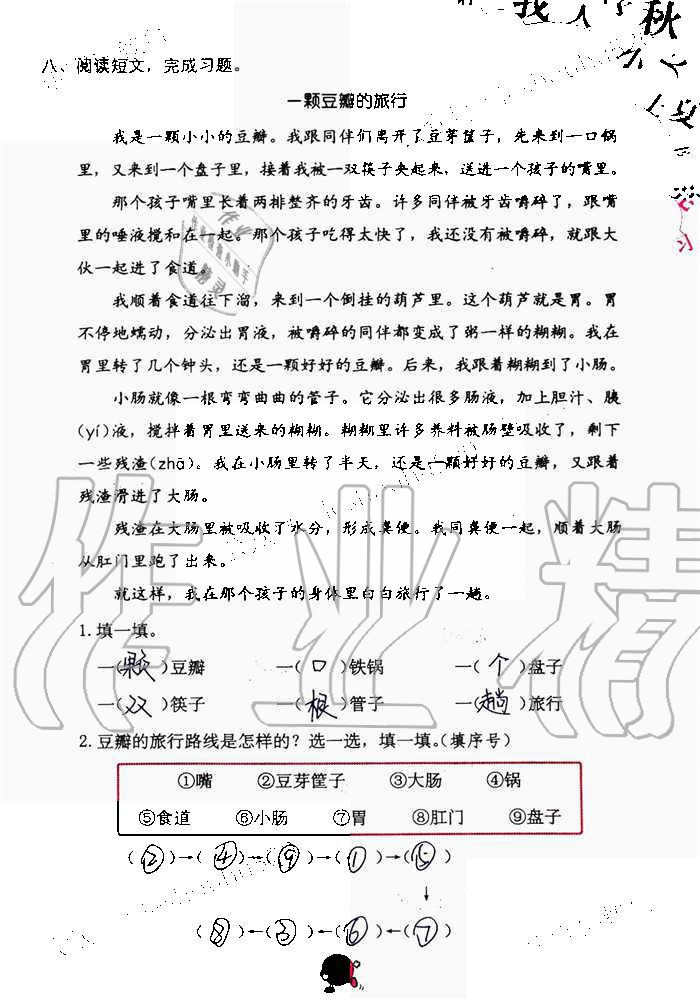 2019年語文學(xué)習(xí)與鞏固三年級(jí)上冊(cè)人教版 第31頁