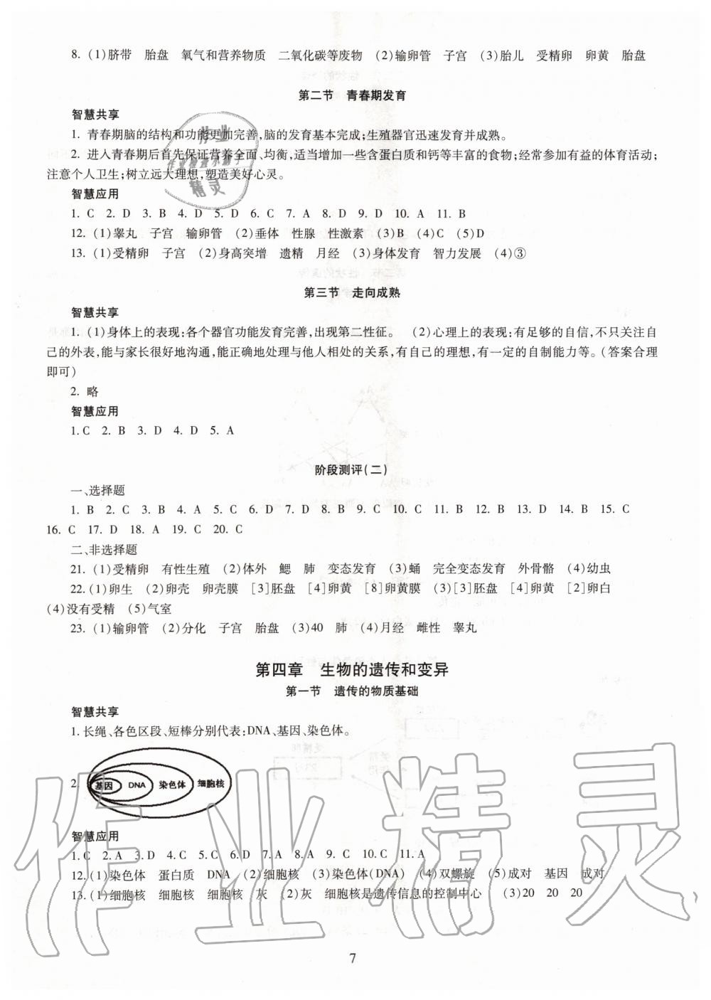 2019年智慧學(xué)習(xí)八年級(jí)生物學(xué)全一冊人教版 第7頁