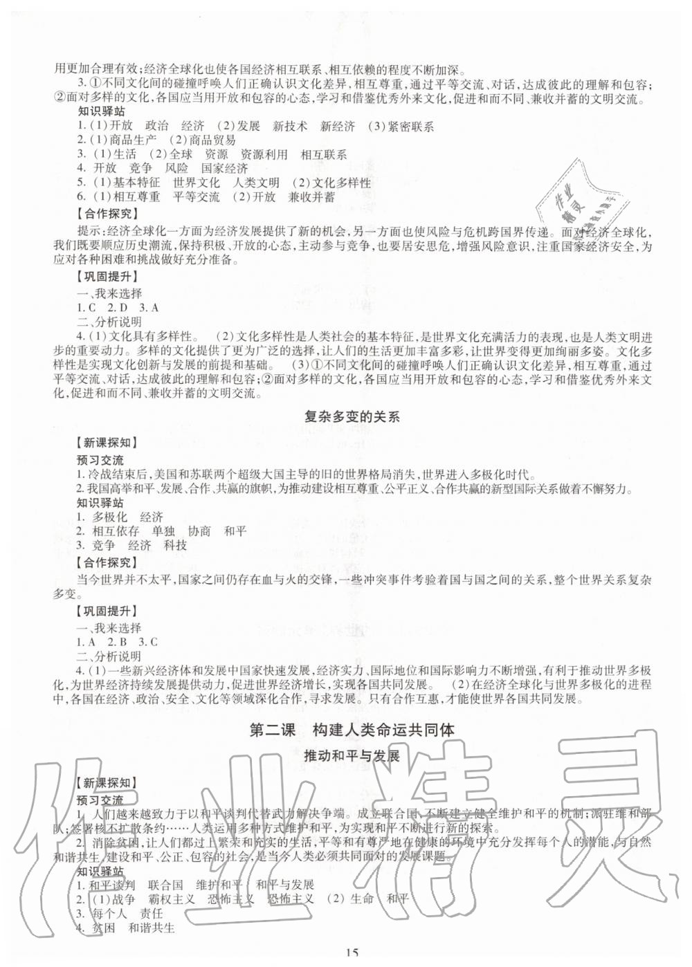 2019年智慧學(xué)習(xí)九年級(jí)道德與法治全一冊(cè)人教版 第15頁