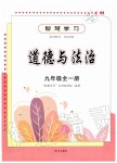 2019年智慧學(xué)習(xí)九年級(jí)道德與法治全一冊(cè)人教版