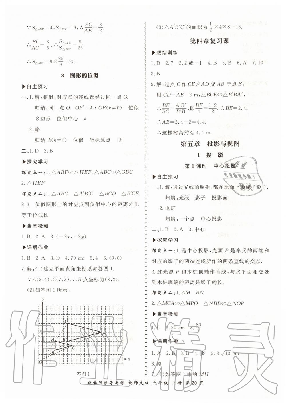 2019年新學案同步導與練九年級數(shù)學上冊北師大版 第20頁