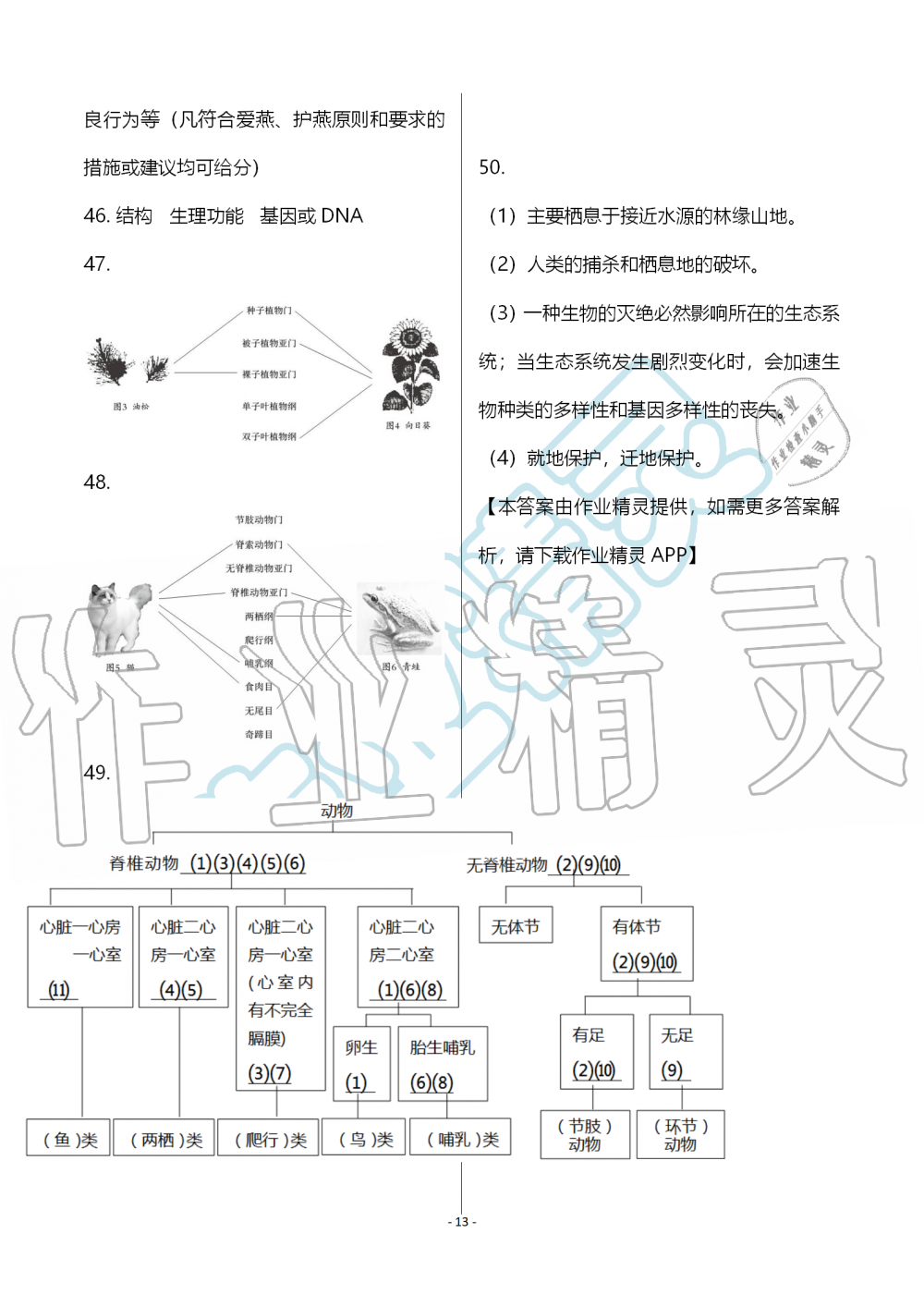 2019年知识与能力训练八年级生物学上册人教版 第13页