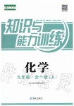 2019年知識與能力訓練九年級化學全一冊人教版A版