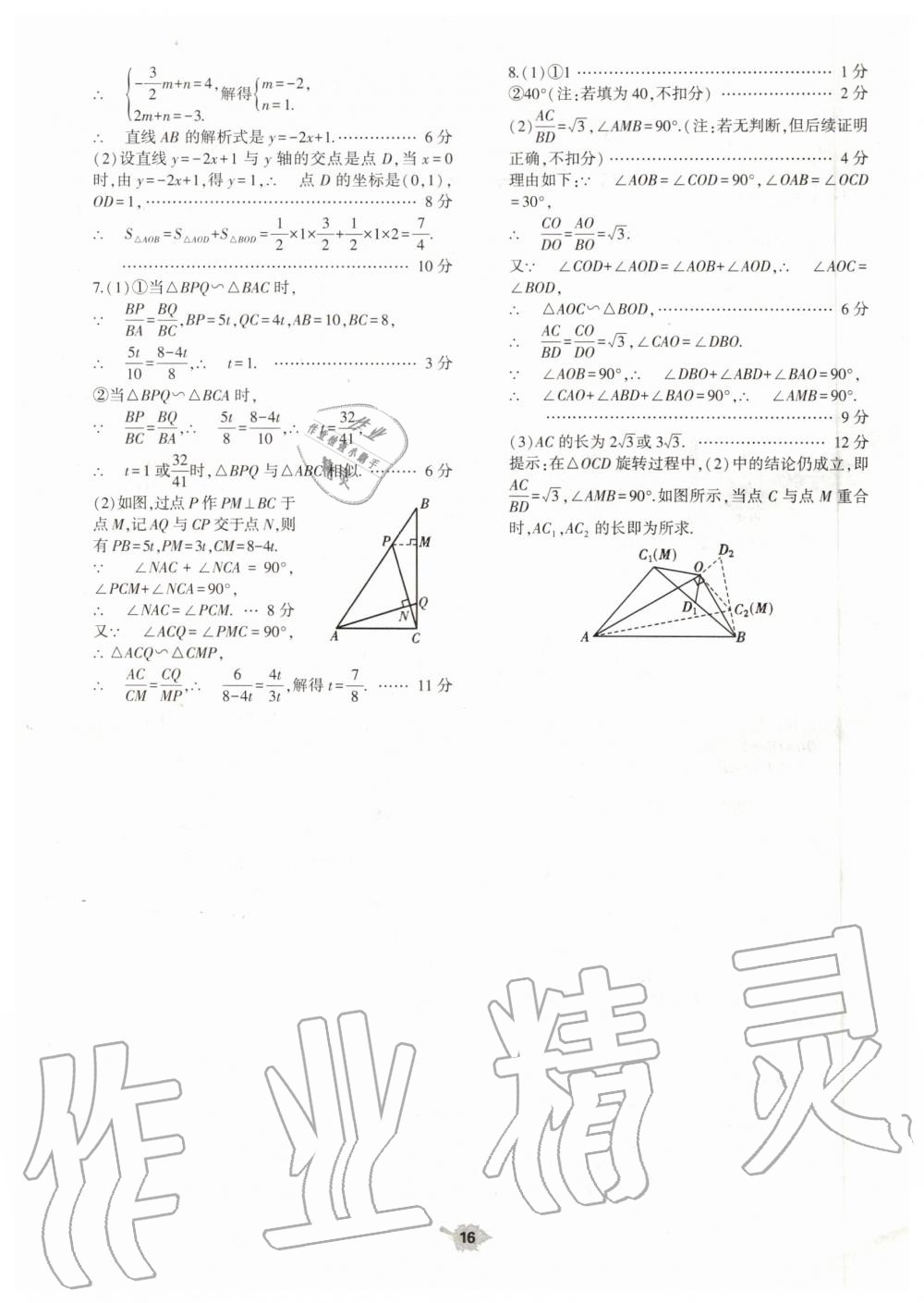 2019年基礎(chǔ)訓(xùn)練九年級數(shù)學(xué)全一冊人教版大象出版社 第56頁