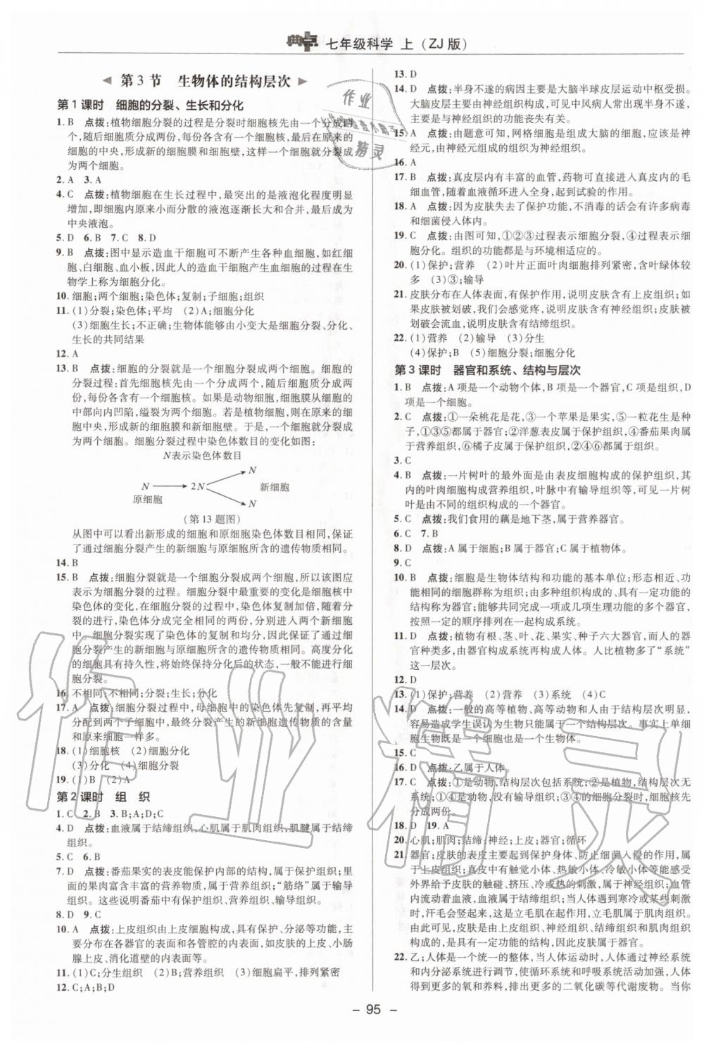 2019年綜合應用創(chuàng)新題典中點七年級數學上冊浙教版 第9頁