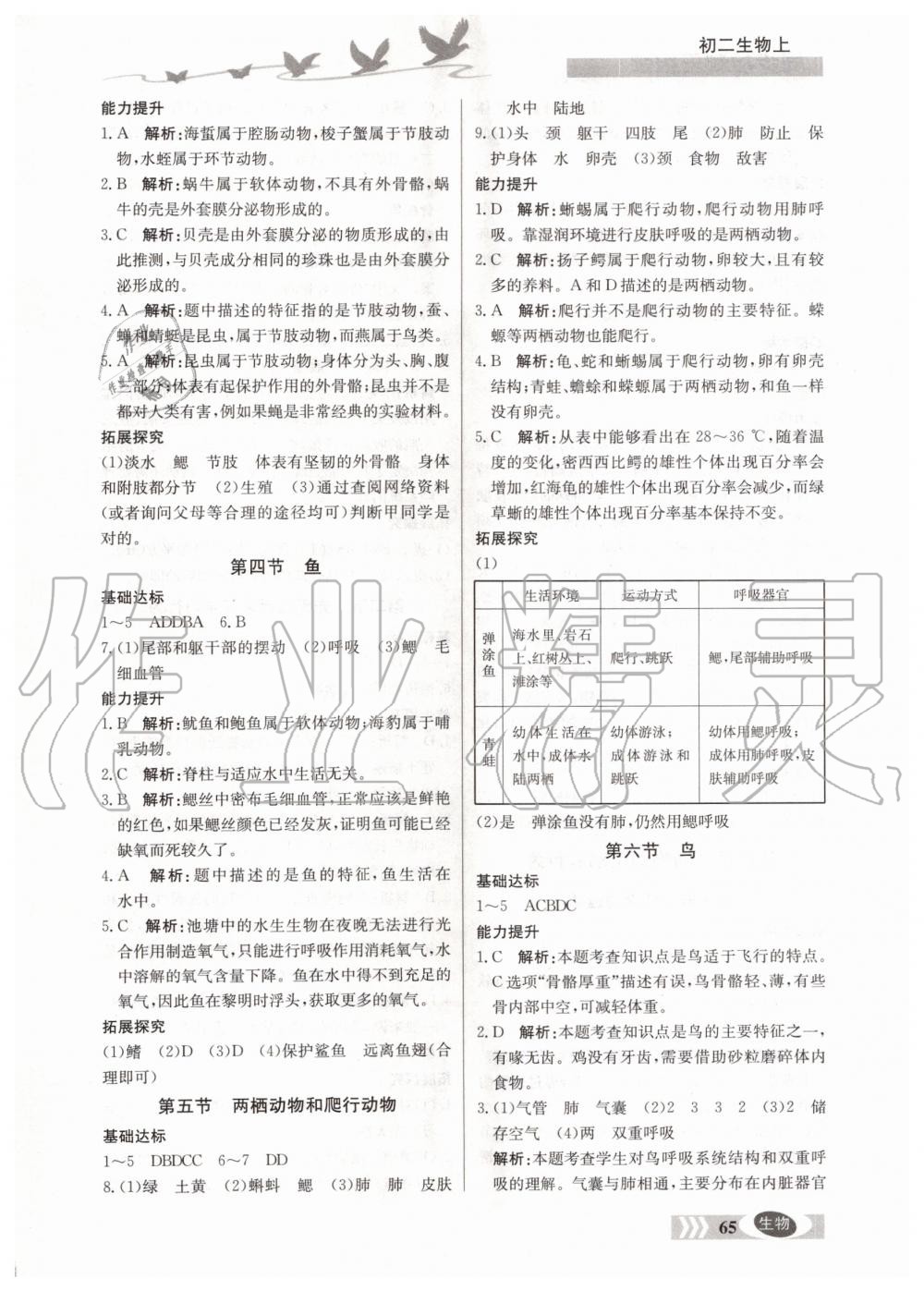 2019年同步檢測三級跳初二生物上冊人教版 第2頁