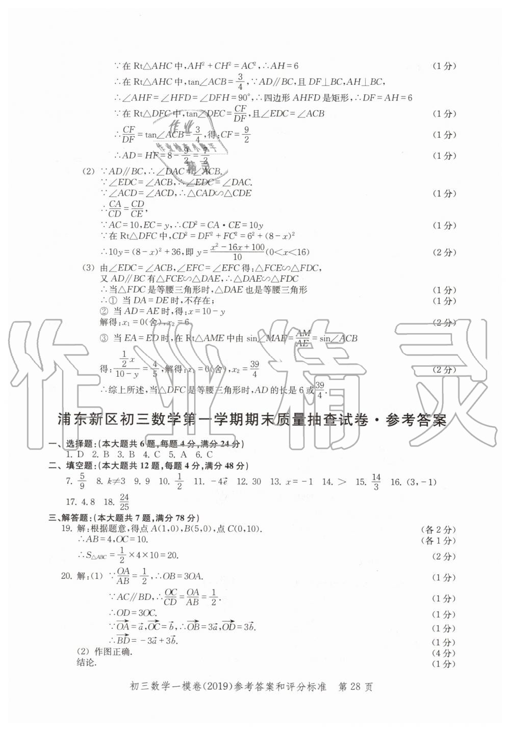 2019年文化课强化训练九年级数学全一册沪教版 第28页