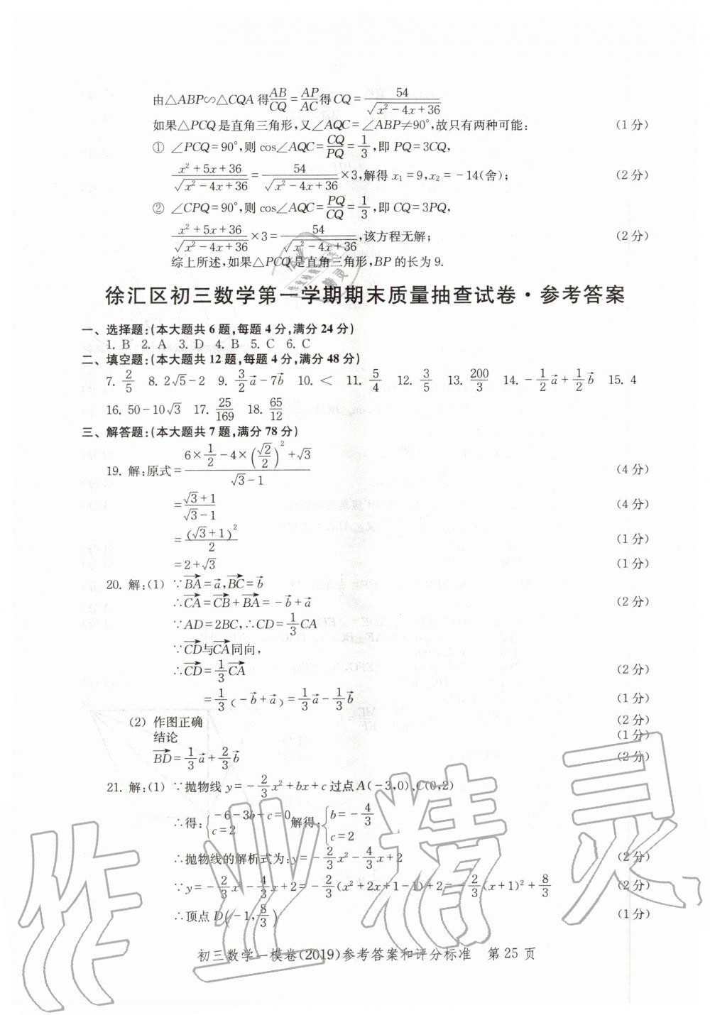 2019年文化课强化训练九年级数学全一册沪教版 第25页