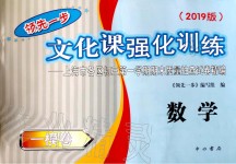 2019年文化課強化訓(xùn)練九年級數(shù)學(xué)全一冊滬教版