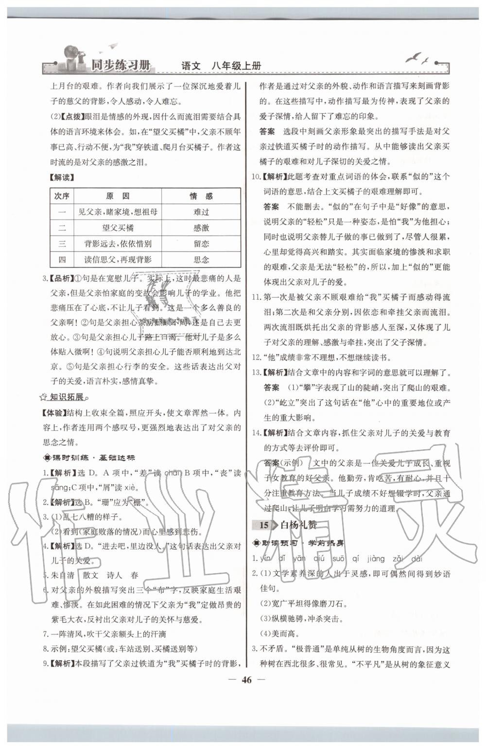 2019年同步练习册八年级语文上册人教版人民教育出版社 第14页