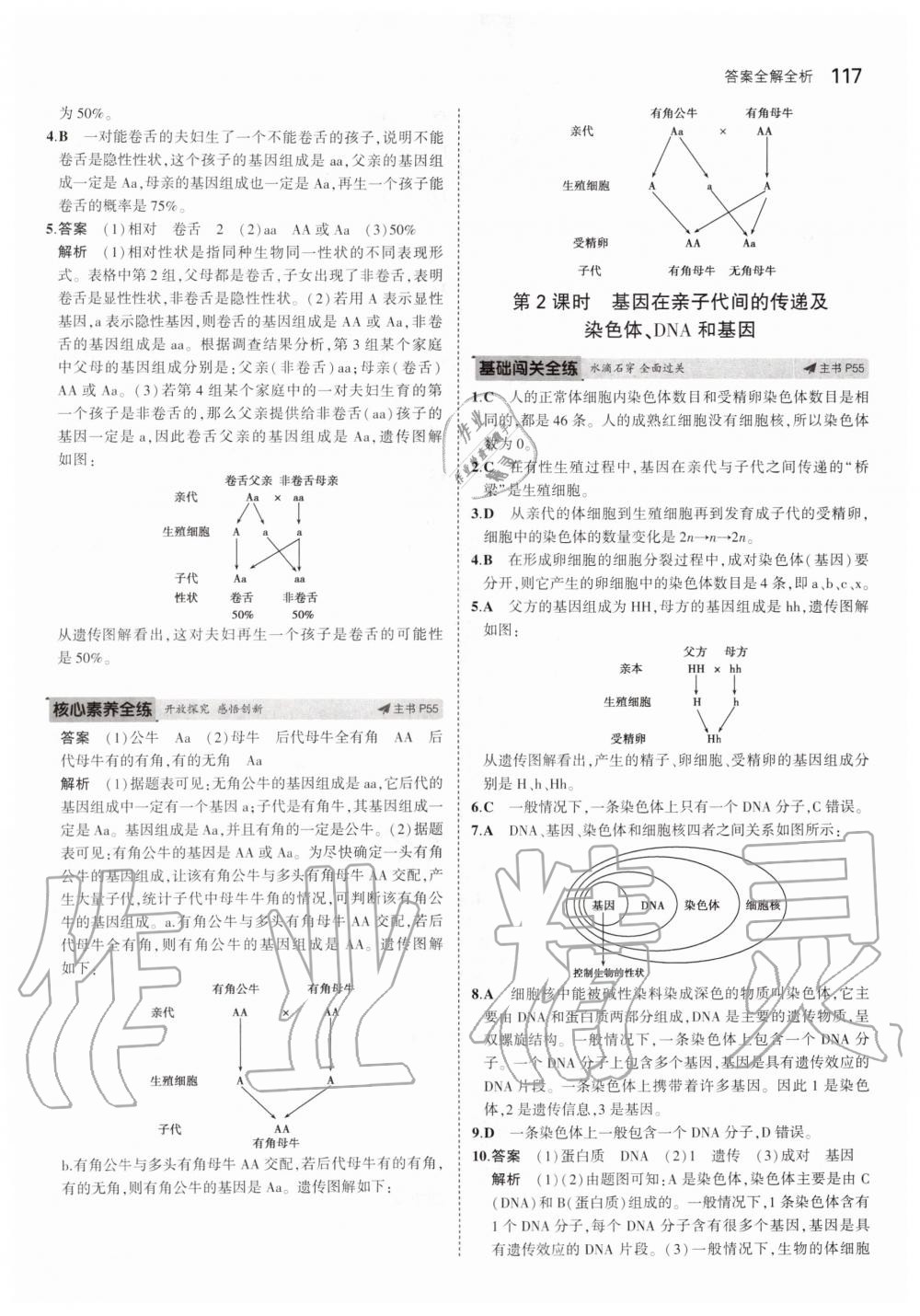 2019年5年中考3年模擬八年級生物上冊北京課改版北京專版 第23頁