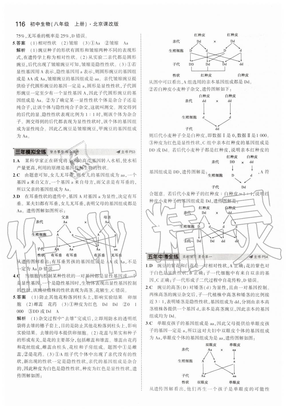 2019年5年中考3年模擬八年級生物上冊北京課改版北京專版 第22頁