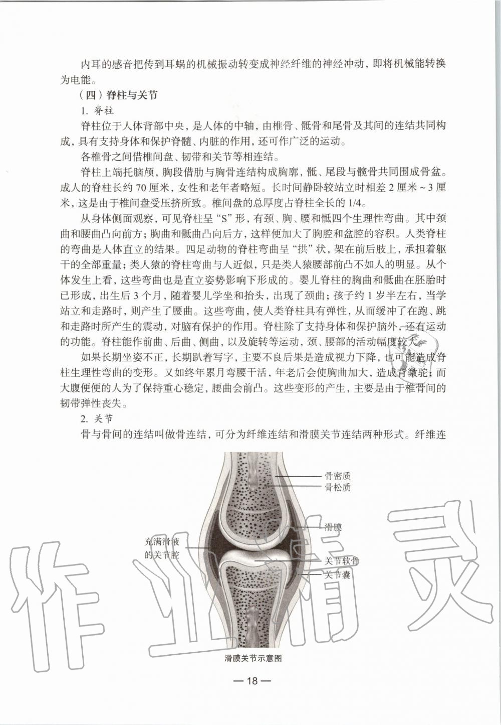 2019年生命科學(xué)練習(xí)部分初中第一冊(cè)滬教版 第12頁