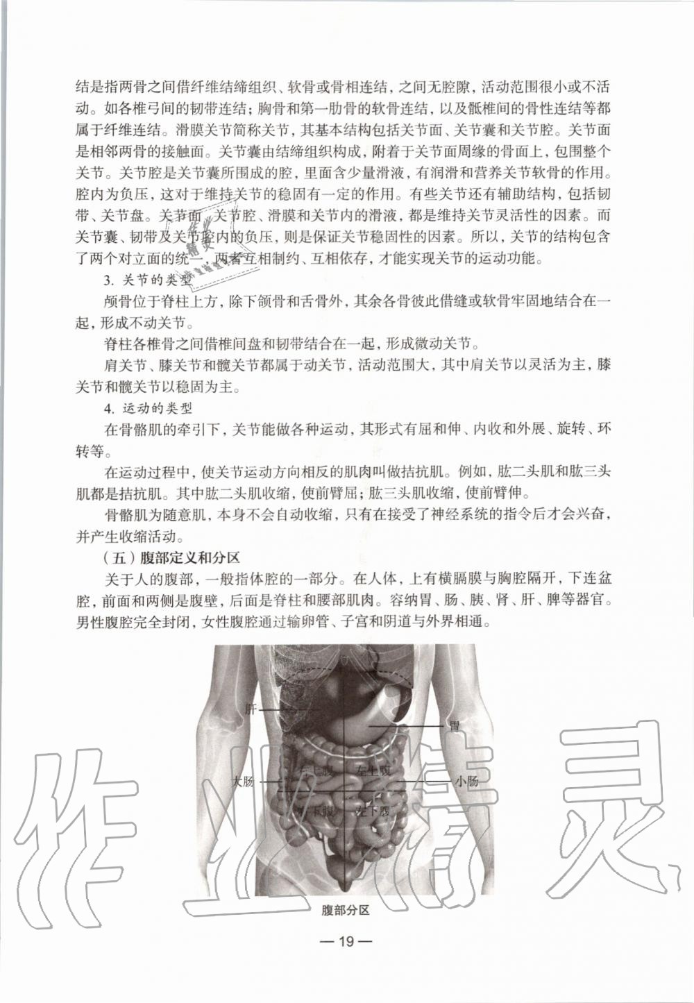 2019年生命科學(xué)練習(xí)部分初中第一冊(cè)滬教版 第13頁(yè)