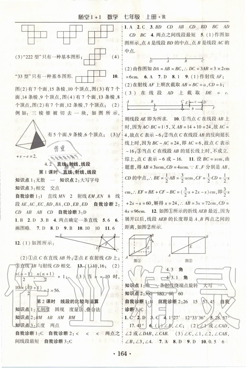 2019年随堂1加1导练七年级数学上册人教版 第16页