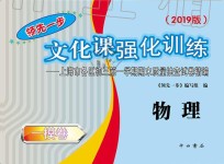 2019年文化课强化训练九年级物理全一册沪教版