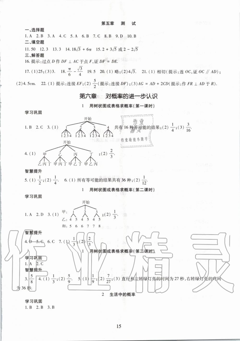 2019年智慧學習九年級數(shù)學全一冊魯教版五四制 第15頁