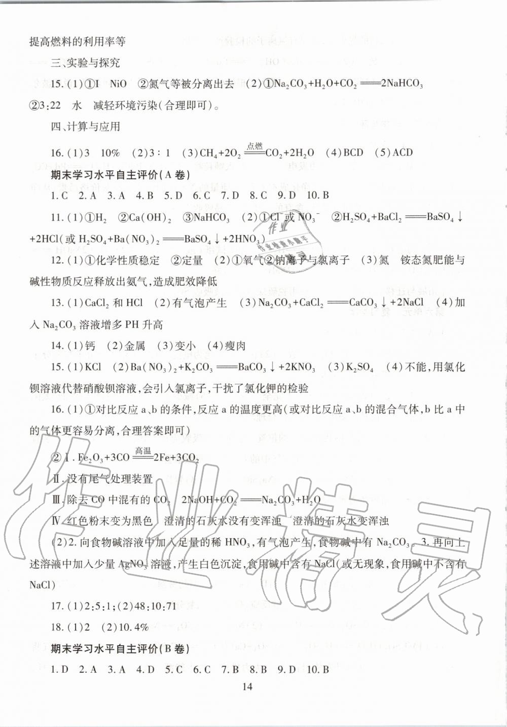 2019年智慧學(xué)習(xí)九年級化學(xué)全一冊魯教版五四制 第14頁