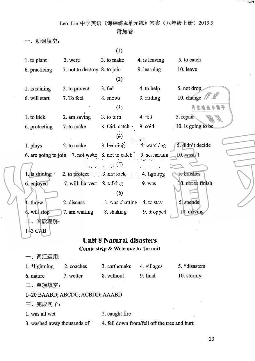 2019年LeoLiu中學(xué)英語課課練單元練八年級上冊譯林版 第23頁