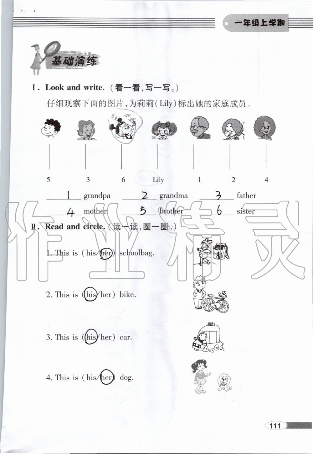 2019年新课堂同步学习与探究一年级英语上学期外研版 第111页