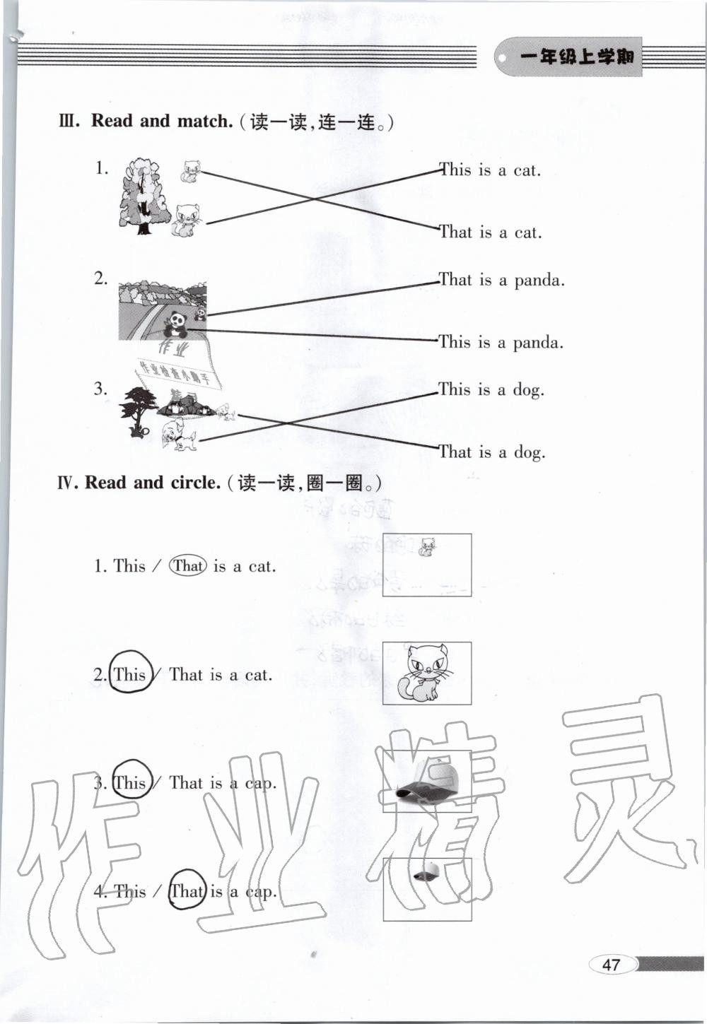 2019年新课堂同步学习与探究一年级英语上学期外研版 第47页