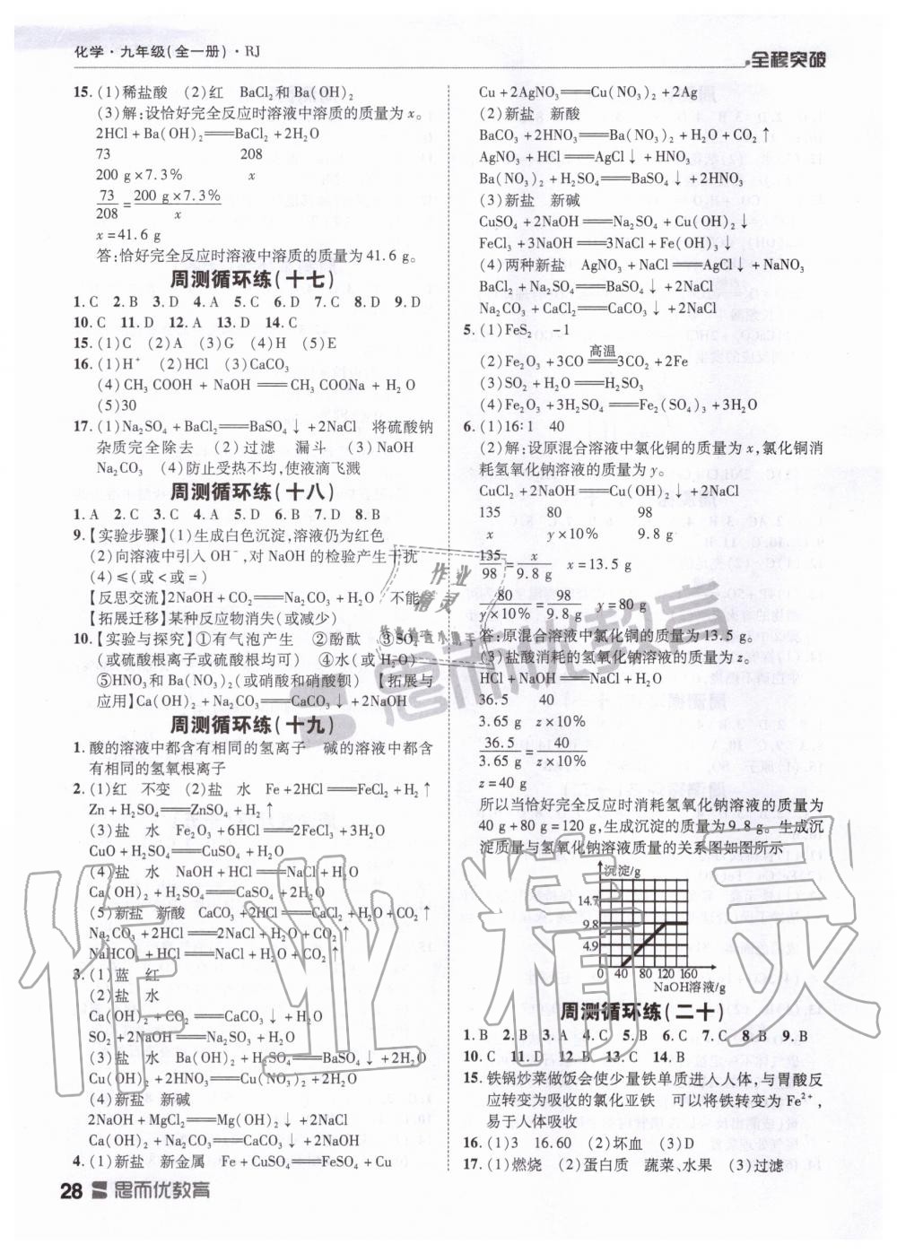 2019年全程突破九年级化学全一册人教版 第28页