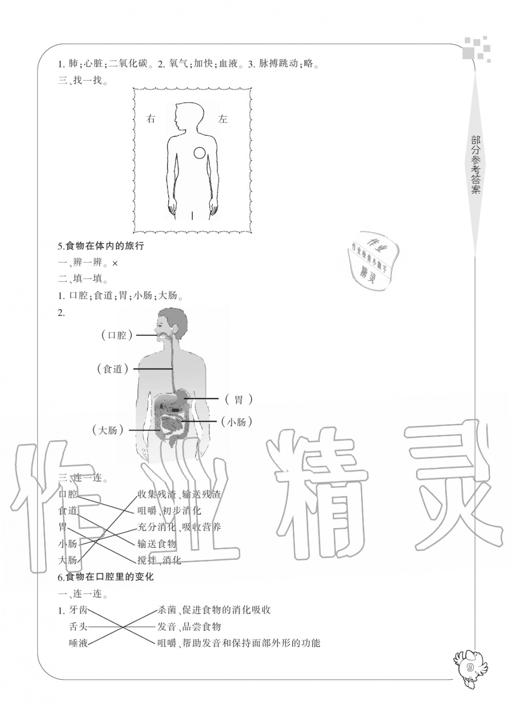 2019年新課標(biāo)學(xué)習(xí)方法指導(dǎo)叢書四年級科學(xué)上冊教科版 第9頁