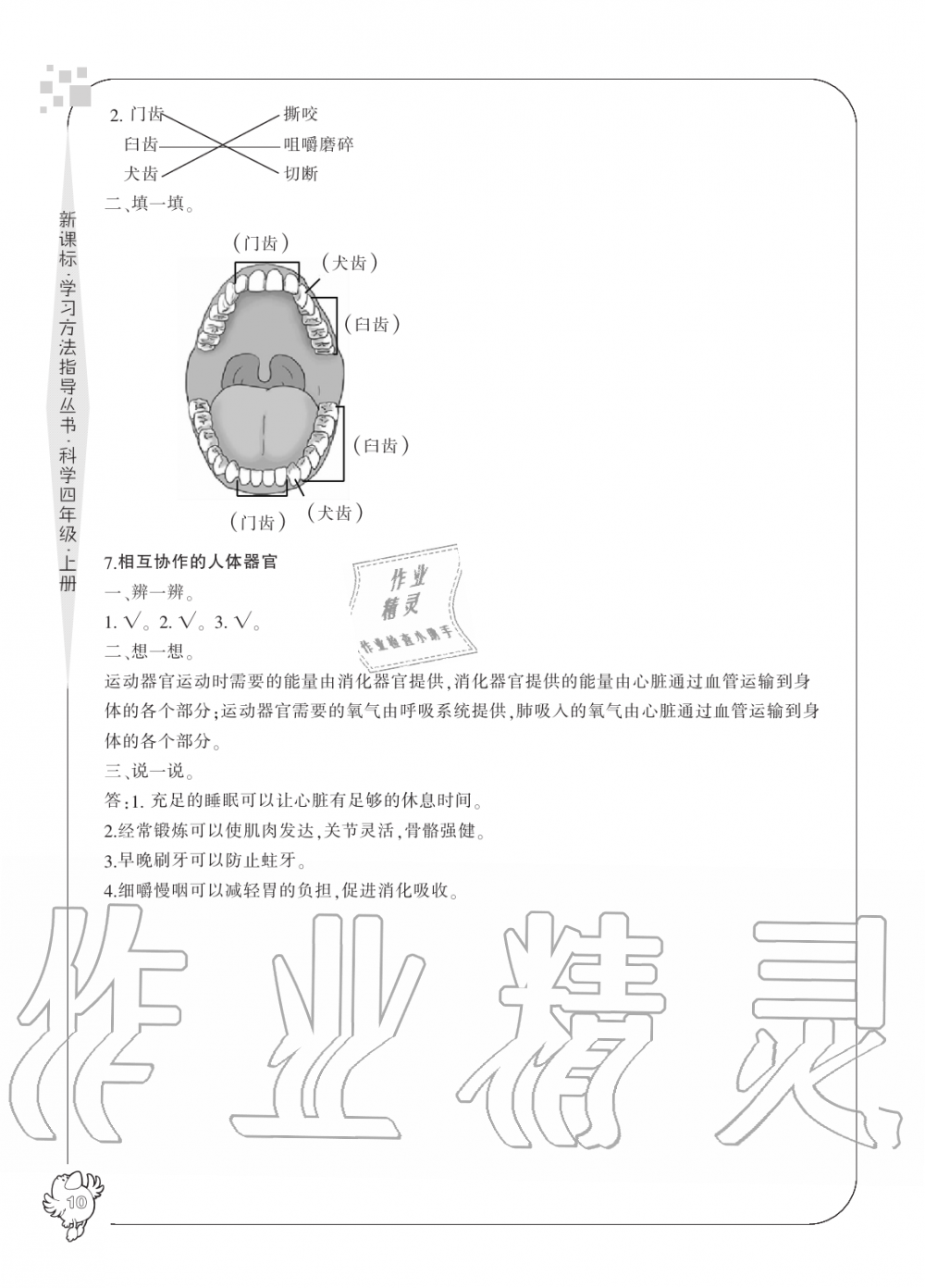 2019年新課標(biāo)學(xué)習(xí)方法指導(dǎo)叢書(shū)四年級(jí)科學(xué)上冊(cè)教科版 第10頁(yè)