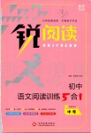 2019年銳閱讀初中語文閱讀訓練5合1中考