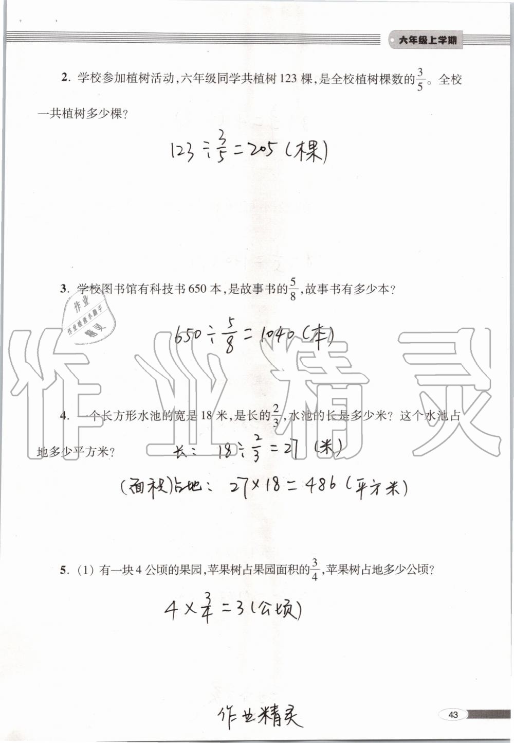 2019年新課堂同步學(xué)習(xí)與探究六年級(jí)數(shù)學(xué)上學(xué)期青島版 第43頁(yè)