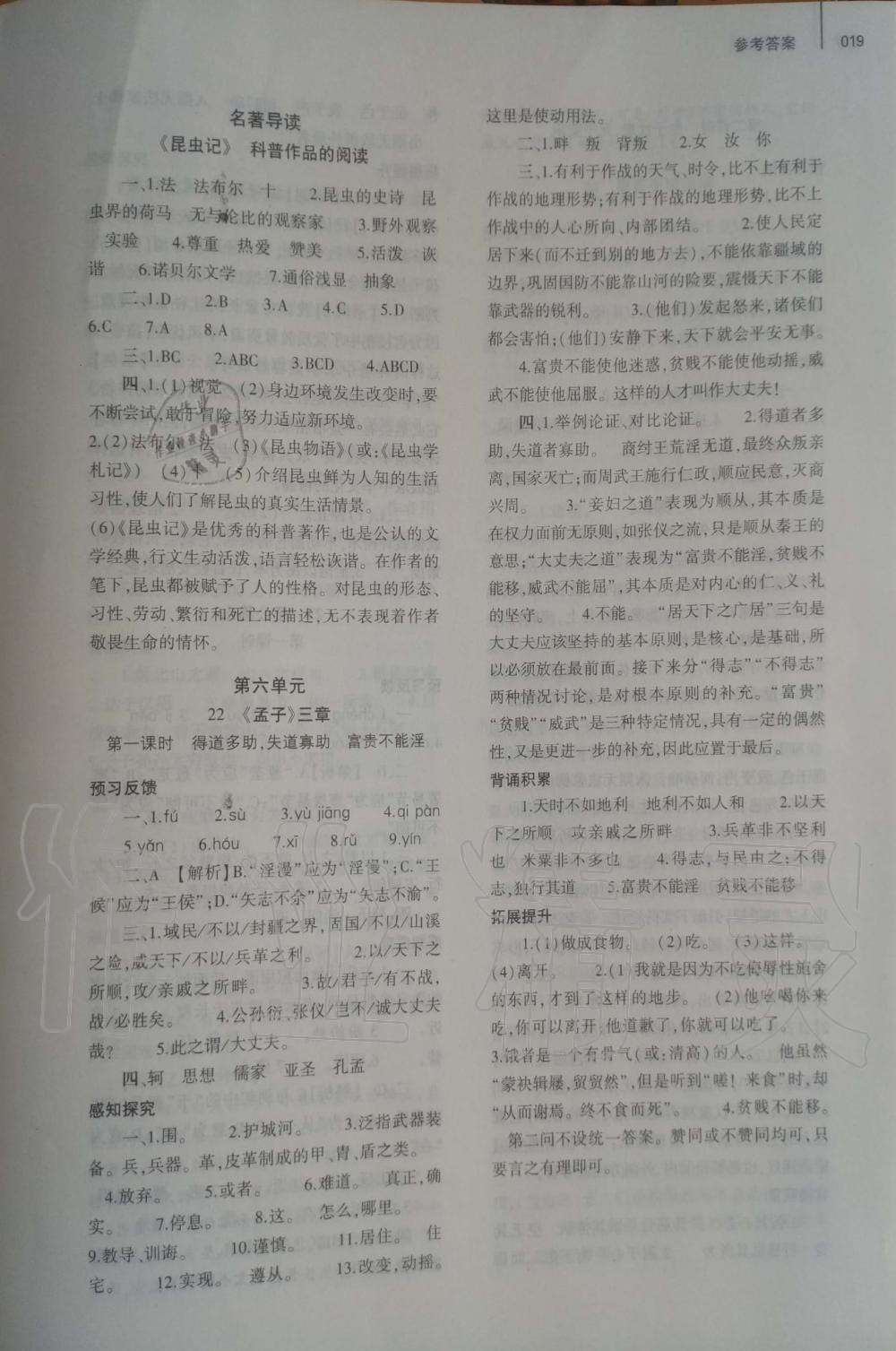 2019年基礎(chǔ)訓(xùn)練八年級(jí)語(yǔ)文上冊(cè)人教版大象出版社 第19頁(yè)