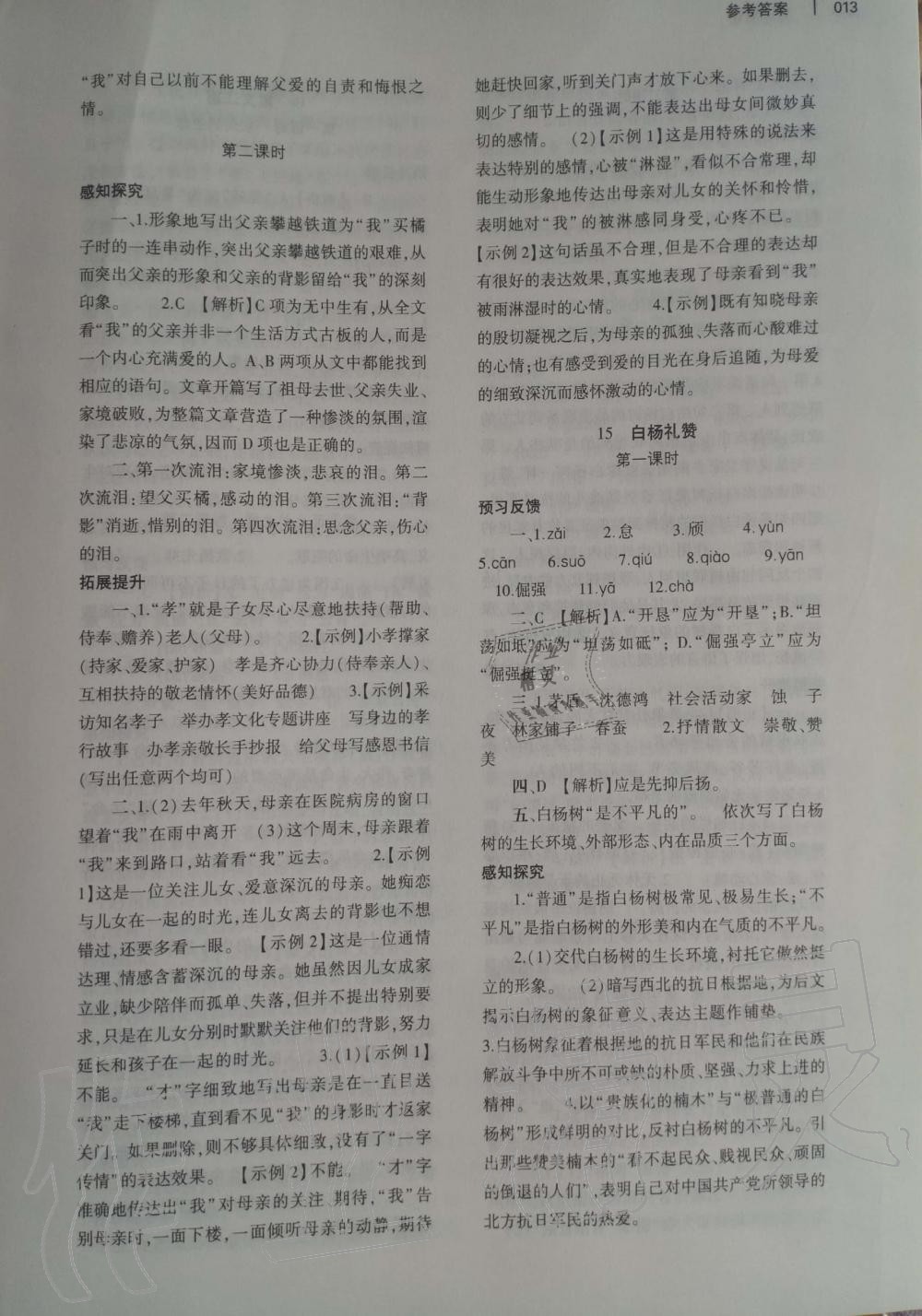 2019年基礎(chǔ)訓(xùn)練八年級語文上冊人教版大象出版社 第13頁