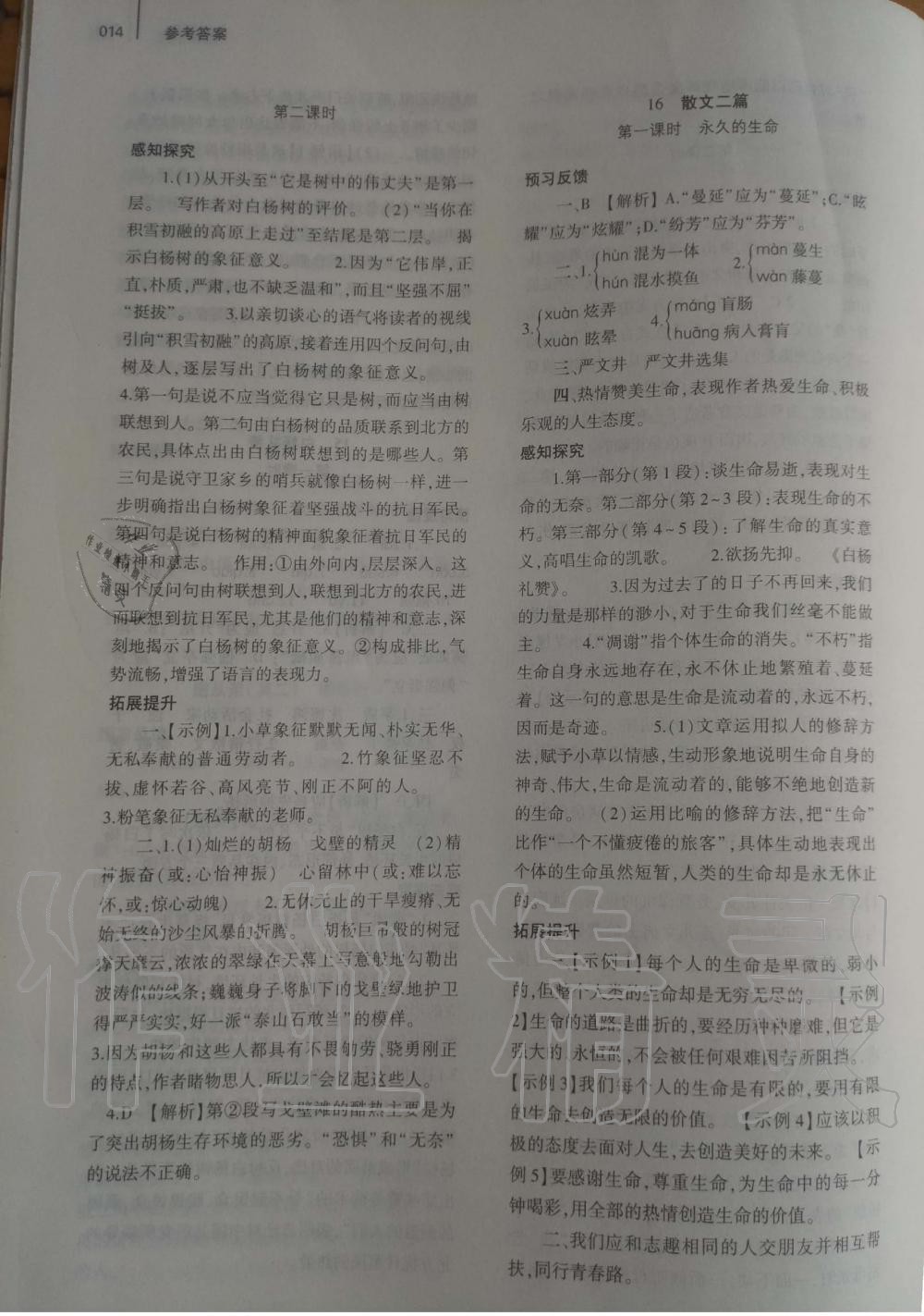 2019年基礎(chǔ)訓(xùn)練八年級語文上冊人教版大象出版社 第14頁