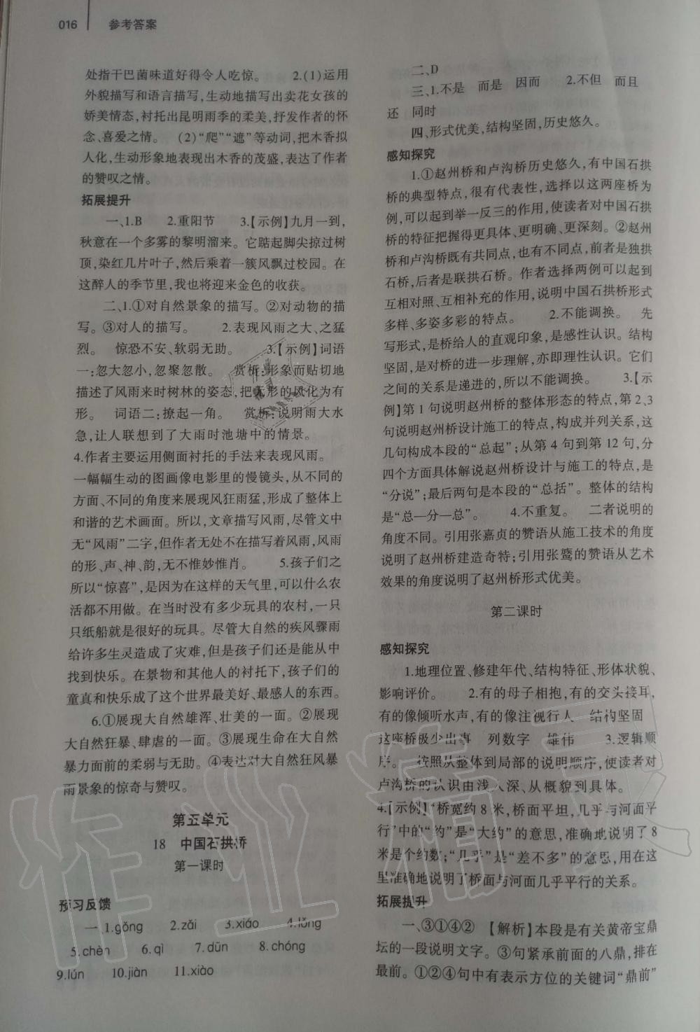 2019年基礎(chǔ)訓(xùn)練八年級(jí)語文上冊(cè)人教版大象出版社 第16頁