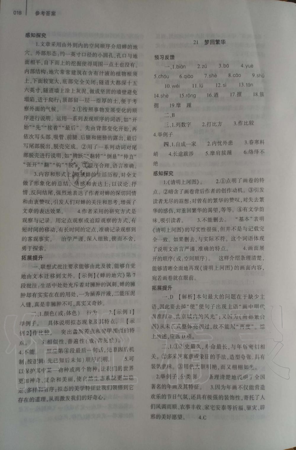 2019年基礎(chǔ)訓(xùn)練八年級(jí)語(yǔ)文上冊(cè)人教版大象出版社 第18頁(yè)