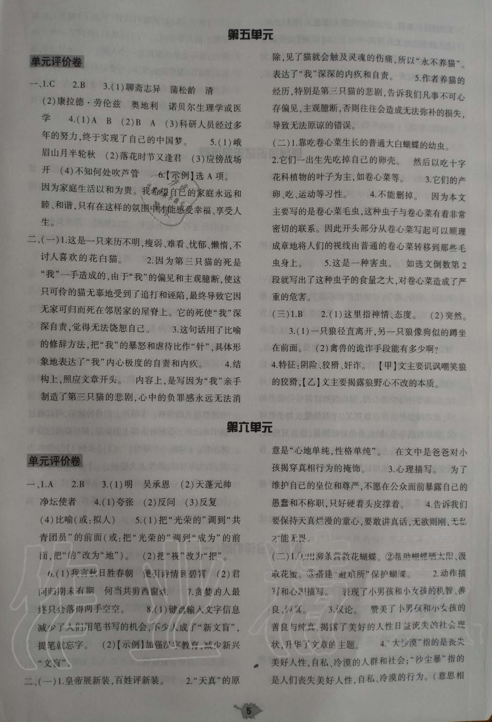 2019年基礎(chǔ)訓(xùn)練七年級(jí)語(yǔ)文上冊(cè)人教版大象出版社 第29頁(yè)