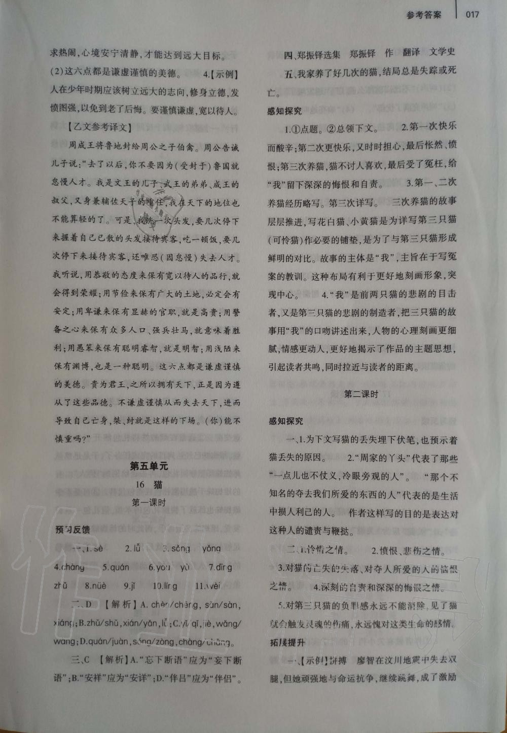 2019年基礎訓練七年級語文上冊人教版大象出版社 第17頁