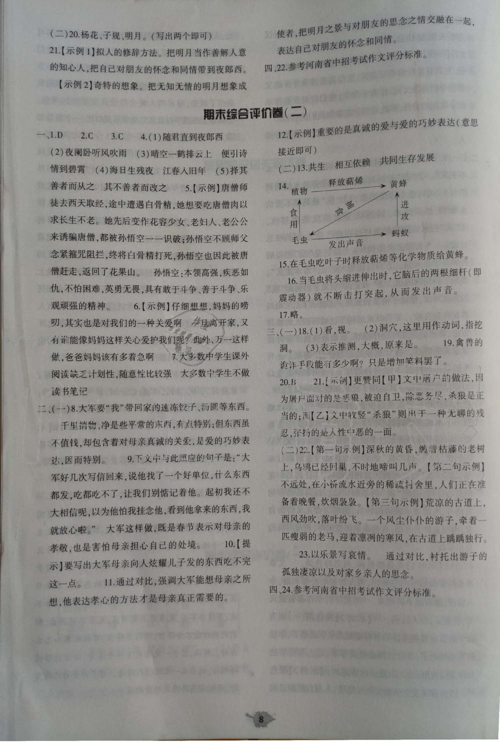 2019年基礎(chǔ)訓(xùn)練七年級(jí)語文上冊(cè)人教版大象出版社 第32頁