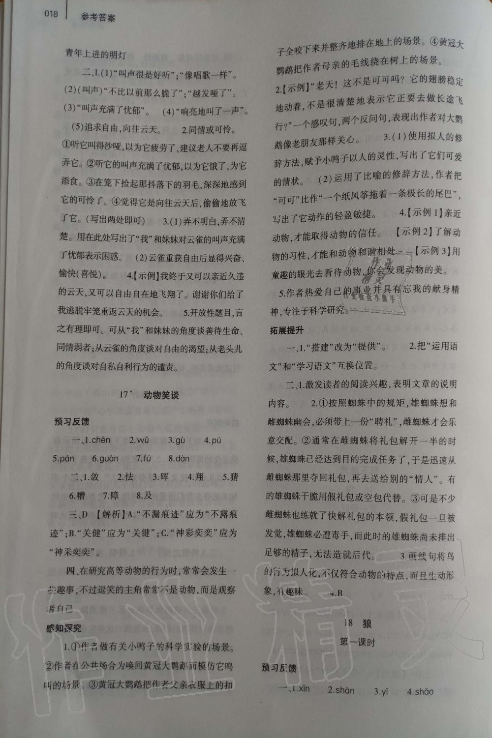 2019年基礎訓練七年級語文上冊人教版大象出版社 第18頁