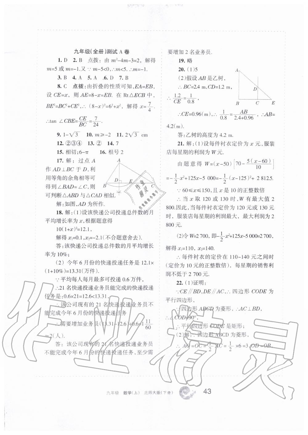 2019年學(xué)習(xí)之友九年級(jí)數(shù)學(xué)上冊(cè)北師大版 第43頁