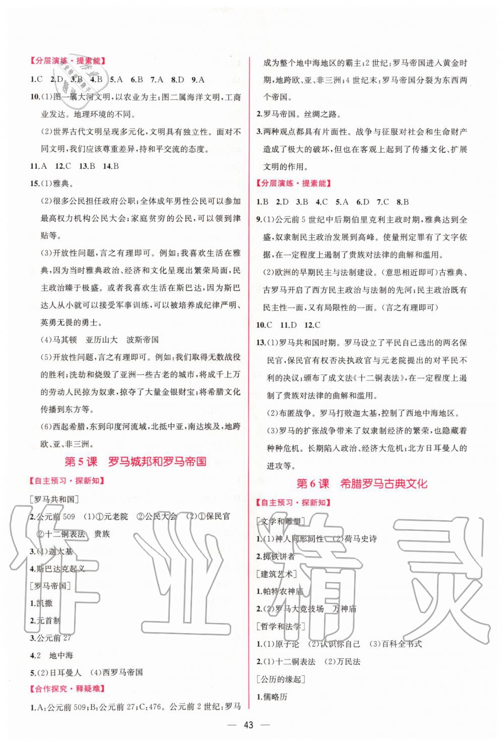 2019年同步學(xué)歷案課時(shí)練九年級(jí)世界歷史上冊(cè)人教版 第3頁