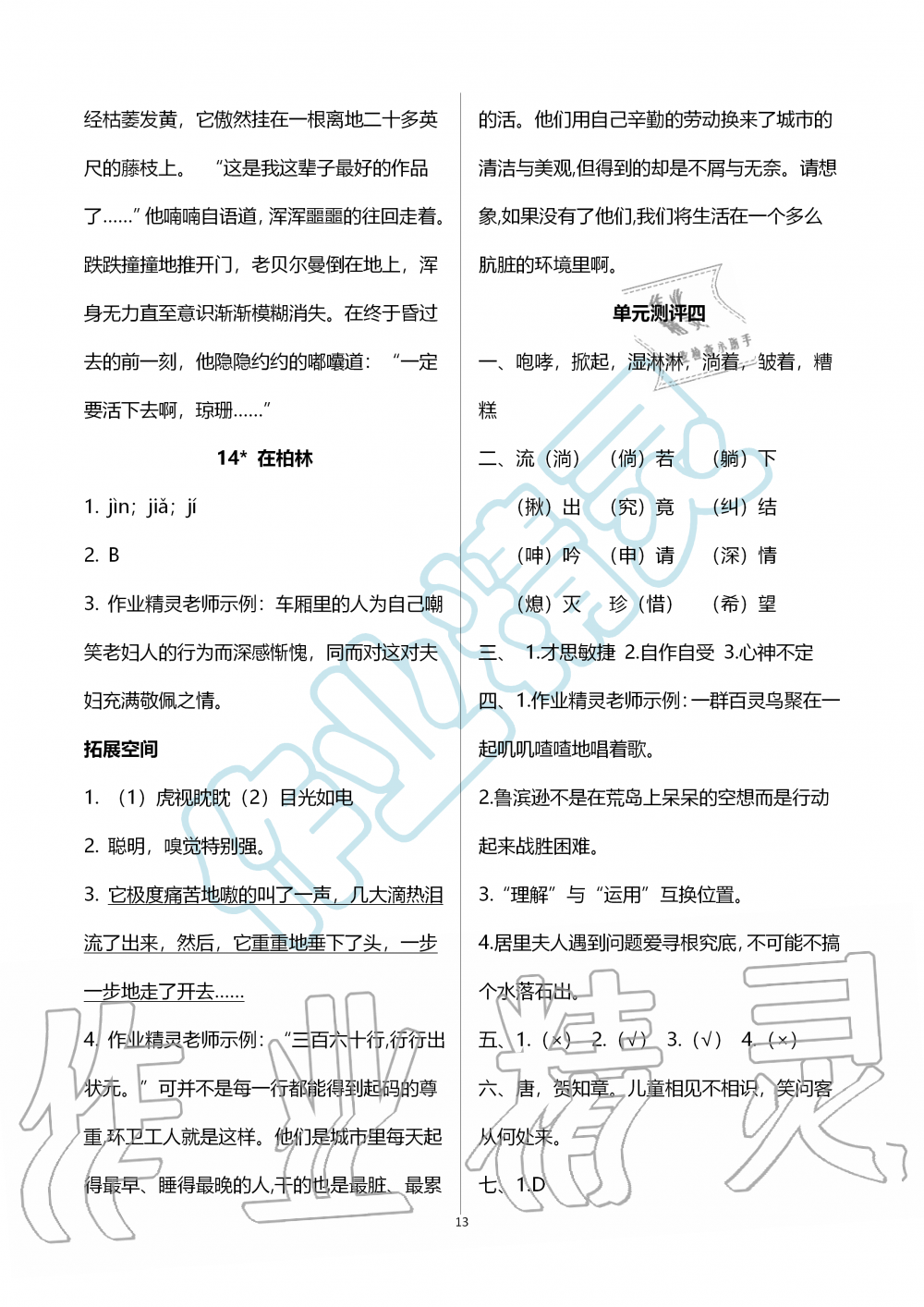 2019年人教金學(xué)典同步解析與測(cè)評(píng)六年級(jí)語(yǔ)文上冊(cè)人教版 第13頁(yè)