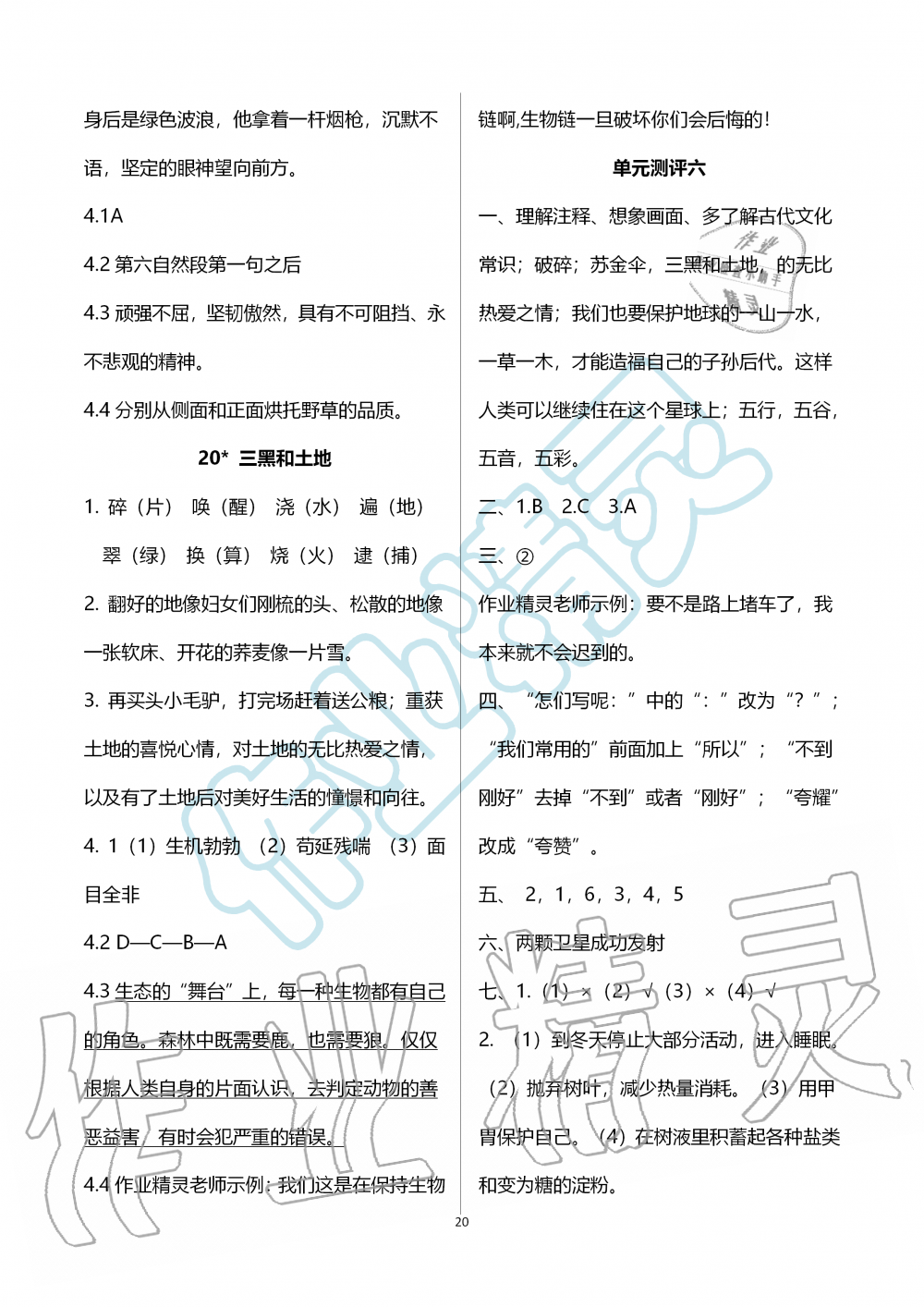 2019年人教金學典同步解析與測評六年級語文上冊人教版 第20頁