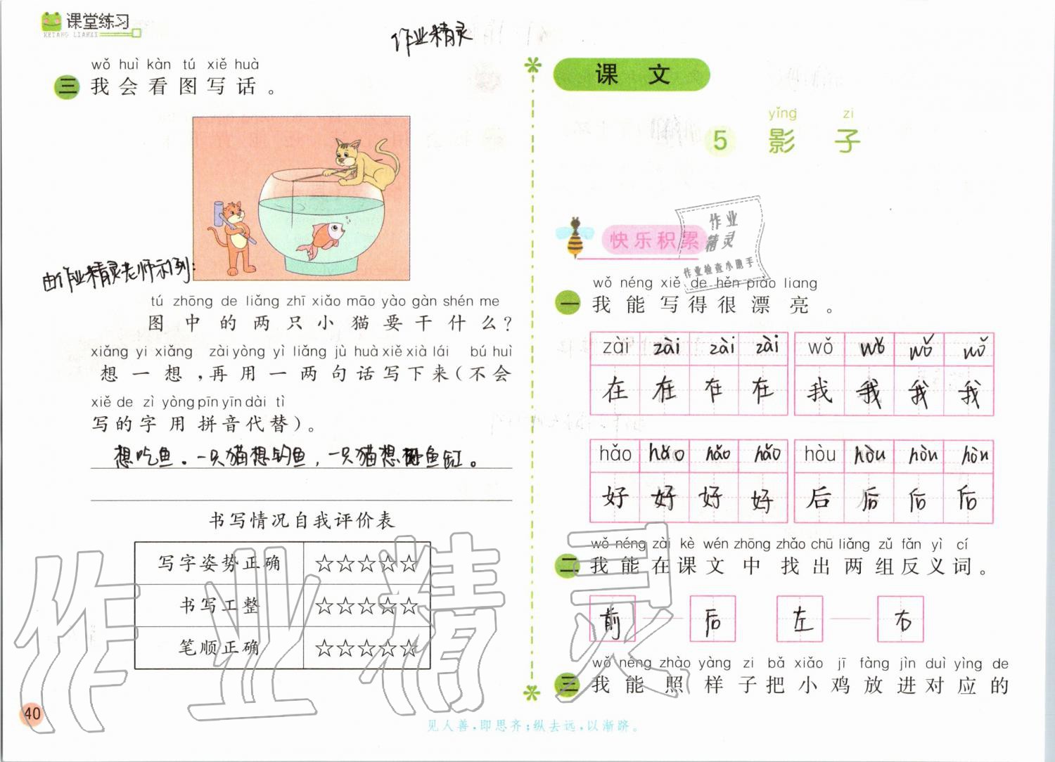 2019年課堂練習(xí)一年級(jí)語(yǔ)文上冊(cè)人教版彩色版 第40頁(yè)