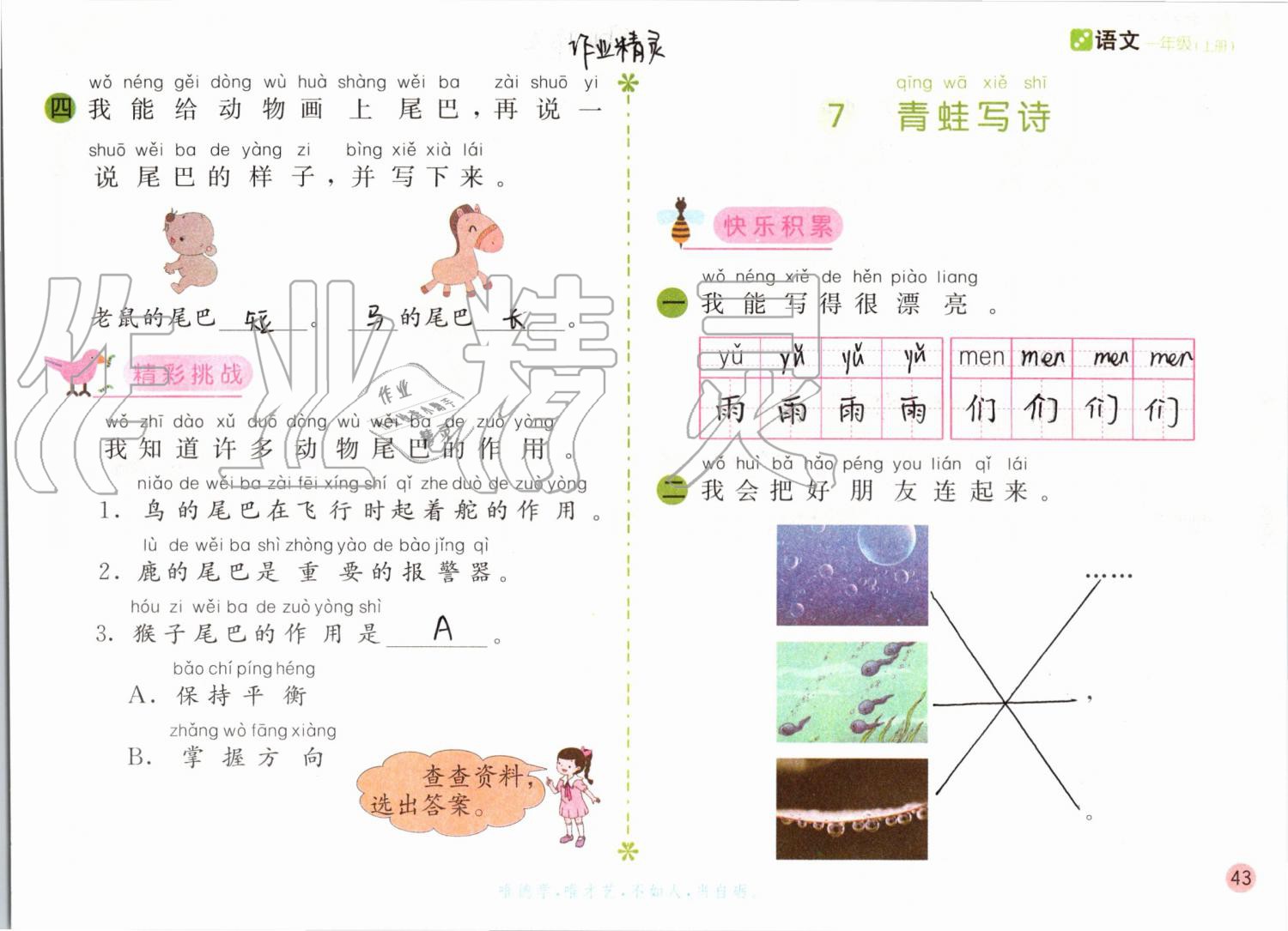 2019年課堂練習(xí)一年級(jí)語(yǔ)文上冊(cè)人教版彩色版 第43頁(yè)