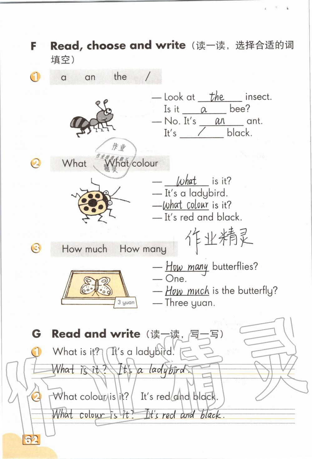 2019年英語練習(xí)部分三年級第一學(xué)期牛津上海版 第61頁