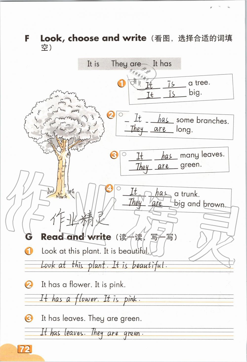 2019年英語(yǔ)練習(xí)部分三年級(jí)第一學(xué)期牛津上海版 第71頁(yè)