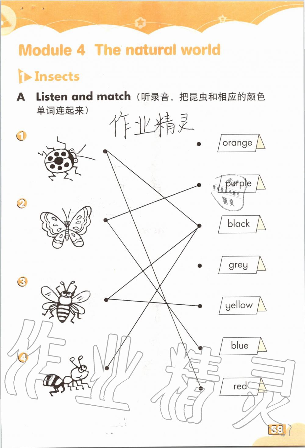 2019年英語練習(xí)部分三年級第一學(xué)期牛津上海版 第58頁