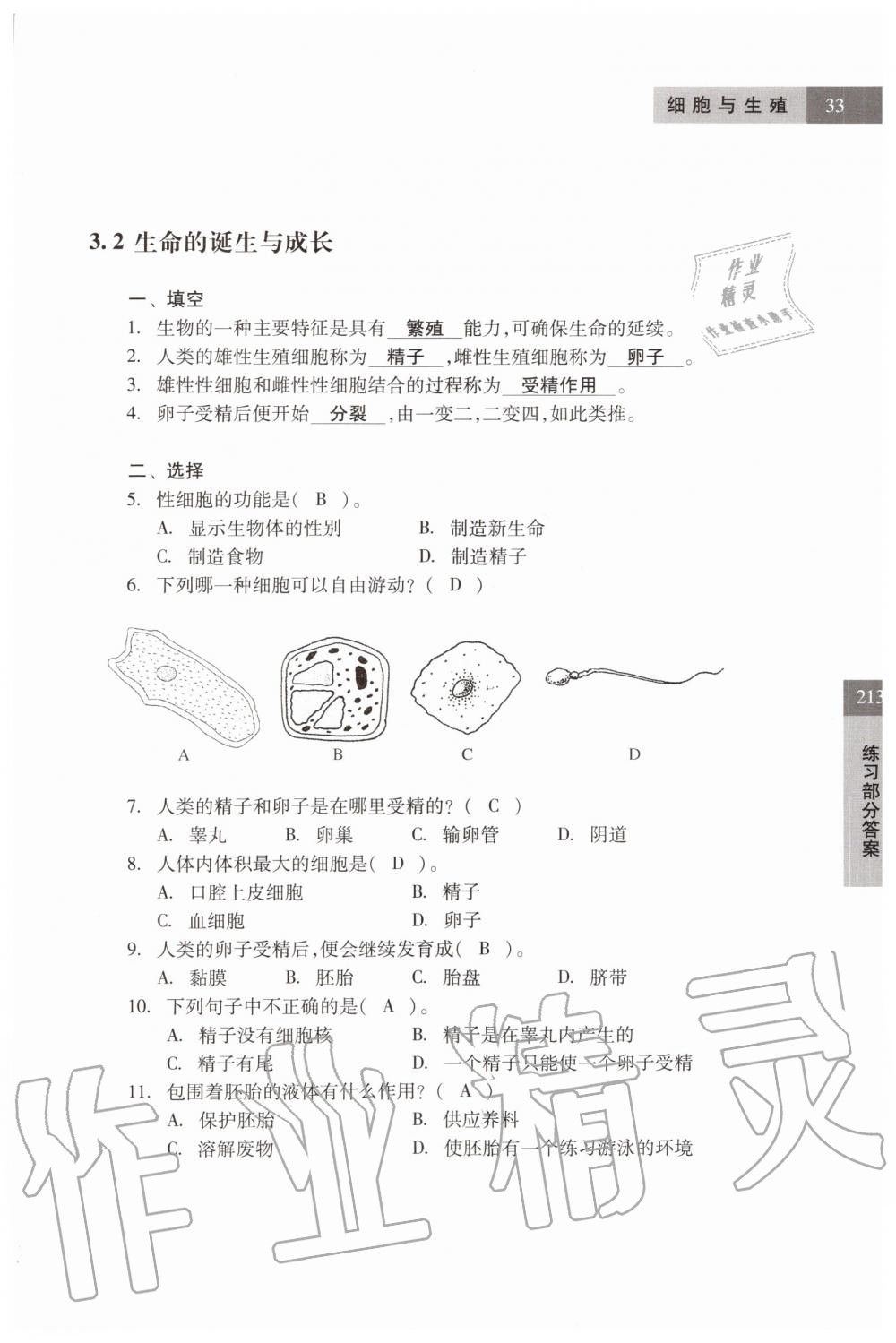 2019年科学练习部分六年级第一学期牛津上海版 第33页